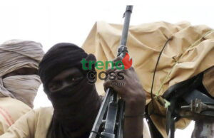 Fresh Night Attacks Shake Kano Communities as Bandits Strike