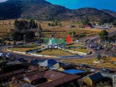 Fulani Leader Alleges Over 1,000 Killings, 5,000 Cows Lost in Plateau Attacks