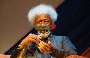 Nobel Laureate Wole Soyinka Demands Federal Government Apology to Sunday Igboho Over 2021 Raid