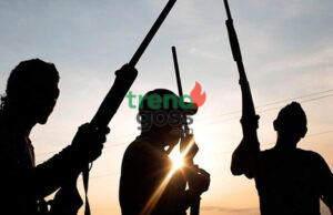 Retired DCP Shot Dead in Imo as Police Launch Manhunt for Killers