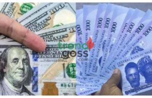 Naira Records First Appreciation in FX Markets After Weeks of Decline