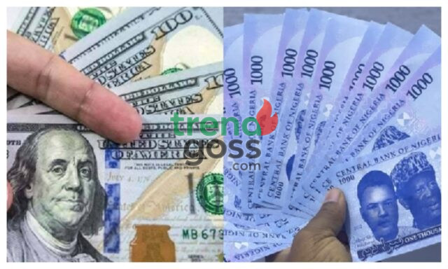 MixCollage-07-Mar-2025-07-24-AM-6119