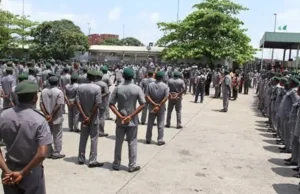 Customs Tightens Borders as ₦181.6m Petroleum Products Seized in 8 Weeks