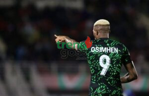 Akpeyi Hails Osimhen’s Passion After Eagles Sink Tunisia