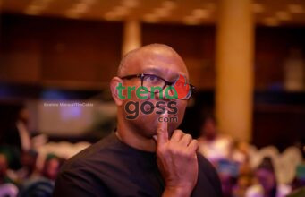 “No 2027 Without Peter Obi on the Ballot” — Obioha’s Explosive Warning After NDC Court Ruling
