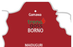DSS, Forest Guards Free Seven From ISWAP Enclave In Borno