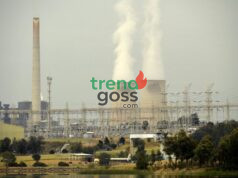 France’s Climate Targets at Risk as Emissions Reduction Slows