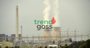 France’s Climate Targets at Risk as Emissions Reduction Slows