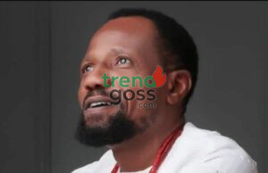 APC Could Destroy Nigeria if Not Stopped in 2027 – PDP’s Iroegbu Warns