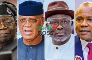‘Governors’ Mass Defection To APC Is Not About Good Governance In The Country’ – NNPP Chieftain, Johnson