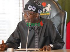 “Nigeria Would Have Collapsed!” — Presidency Defends Tinubu’s Harsh Economic Reforms Amid Rising Hardship
