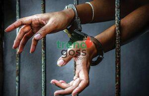 Lagos Couple Arrested for Faking Kidnap, Extorting N10 Million