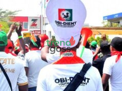 ‘You Lack Moral Authority to Lecture Us on Patriotism’ – Obidient Movement Fires Back at Ali Modu Sheriff