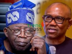 “Go Back Home If You Can’t Deliver” — Peter Obi Fires Fresh Shot at Tinubu, Sparks Political Debate