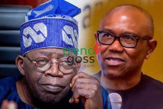 “Go Back Home If You Can’t Deliver” — Peter Obi Fires Fresh Shot at Tinubu, Sparks Political Debate