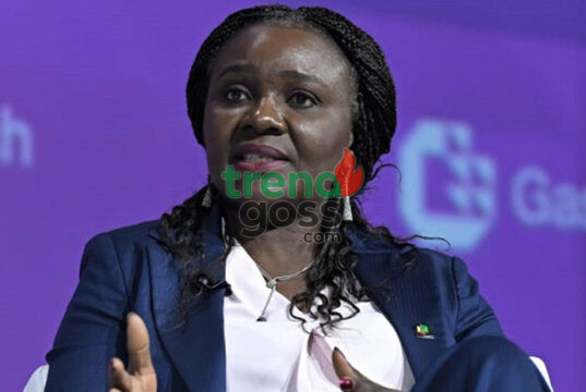 Africa’s Untapped Gas: NUPRC Urges Market Integration