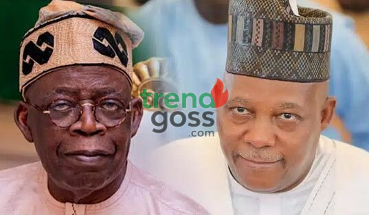 2027: Tinubu Retains Shettima as INEC Deadline Sparks Political Rush