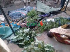 Nigeria Is Bleeding Again — Kwara Displacement, Jos Sunday Killings, and the Dangerous Normalisation of Terror