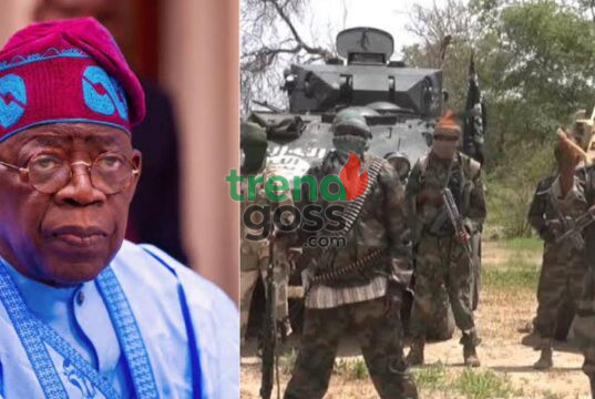 Security Paradox: Generals Killed as “Repentant” Fighters Rejoin Society—Is Government Failing?