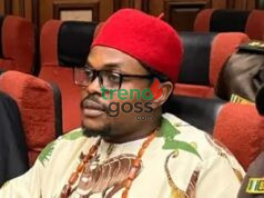 Blord Granted Bail: Who Really Won—Blord, Sowore or VDM? What Happens Next?