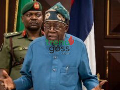 Tinubu vs ADC: “Opposition Can’t Scare Me Off”—Strength or Subtle Signal?