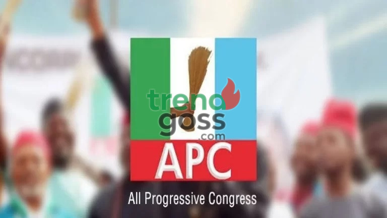 APC Party Flag
