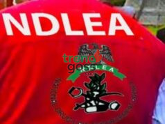 Hidden Cargo Exposed: NDLEA Discovers Drugs Inside Water Purifier Machines