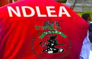 Hidden Cargo Exposed: NDLEA Discovers Drugs Inside Water Purifier Machines