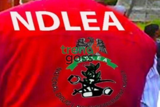Hidden Cargo Exposed: NDLEA Discovers Drugs Inside Water Purifier Machines