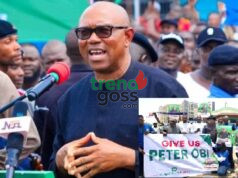 Peter Obi’s 2027 Master Plan: Volunteers Launch Bold Drive to Recruit 10 Million New Voters Nationwide