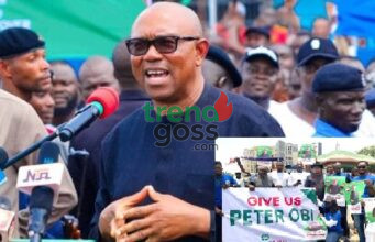 Obidient Shift Sparks Political Ripples as Key Figure Joins ADC