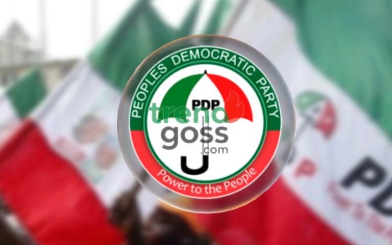 PDP Party Flag