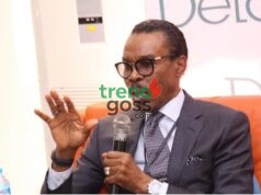 “Growth Without Prosperity!” Rewane Warns Nigerians Are Getting Poorer Despite Economic Growth