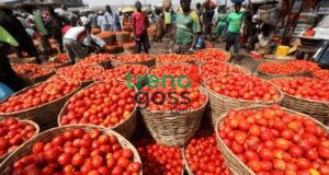 Sallah Celebration Under Pressure? Rising Tomato Prices Leave Families Struggling Ahead of Festivities As preparations for Sallah gatherings and family celebrations gather momentum, many households are discovering that one of the most common kitchen ingredients is suddenly becoming a source of growing concern. For many families, festive periods traditionally mean preparing favorite meals, welcoming visitors, and sharing moments around the dining table. But this year, a fresh challenge appears to be creeping into kitchens across the country, and it is coming from an unexpected place. Tomatoes, a major ingredient used in many Nigerian dishes and stews, are reportedly becoming increasingly expensive, creating pressure on household budgets already stretched by rising living costs. What once seemed like an ordinary market purchase is now generating difficult conversations among consumers. The development has sparked concerns among families preparing for Sallah celebrations, with many buyers reportedly adjusting shopping plans and reconsidering meal budgets. Across markets, shoppers are increasingly asking the same question: How did a basic cooking ingredient become so costly? Food price increases often create ripple effects beyond individual items because tomatoes play a central role in preparing numerous meals. As prices climb, households may also experience increases in the overall cost of cooking and feeding families. For many Nigerians, the concern extends beyond festive meals alone. The rising cost of food continues to affect everyday survival, especially for households trying to balance transportation, education, healthcare, and basic living expenses. As Sallah approaches, many consumers are now hoping for price relief and better market stability. The bigger question remains: Will families be able to maintain festive traditions despite rising food costs, or will changing economic realities force many households to make difficult adjustments? #Sallah #TomatoPrices #CostOfLiving #NigeriaEconomy #FoodPrices #BreakingNews #MarketUpdate #TrendingNews