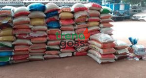 Food Prices Still Climbing? Nigerians Shocked as Beans, Eggs, Garri Rise Despite Inflation Drop