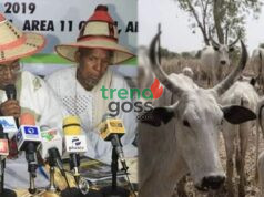 Miyetti Allah Rejects US Report, Says Fulani Community Are Victims of Insecurity
