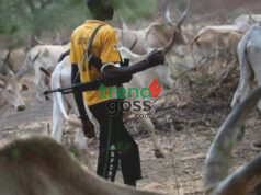 “We Became Strangers in Our Own Land” — Plateau Prophet Raise Alarm Over Fulani Herders Takeover