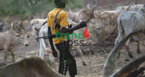 “We Became Strangers in Our Own Land” — Plateau Prophet Raise Alarm Over Fulani Herders Takeover