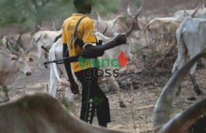 “We Became Strangers in Our Own Land” — Plateau Prophet Raise Alarm Over Fulani Herders Takeover
