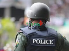Alarm Over State Police: Security Expert Warns New Law Could Deepen Nigeria’s Insecurity