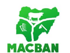 MACBAN Breaks Silence, Denies Link to Deadly Otukpo Attack