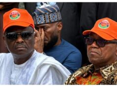 ‘Negotiating With Terrorists Shows No Security Strategy’ – Analyst Blasts Obi, Kwankwaso