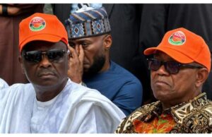 ‘Negotiating With Terrorists Shows No Security Strategy’ – Analyst Blasts Obi, Kwankwaso
