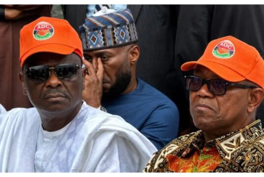 ‘Negotiating With Terrorists Shows No Security Strategy’ – Analyst Blasts Obi, Kwankwaso
