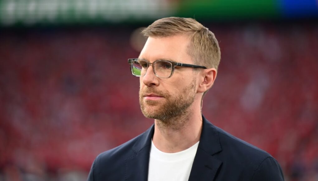 Per-Mertesacker-job role